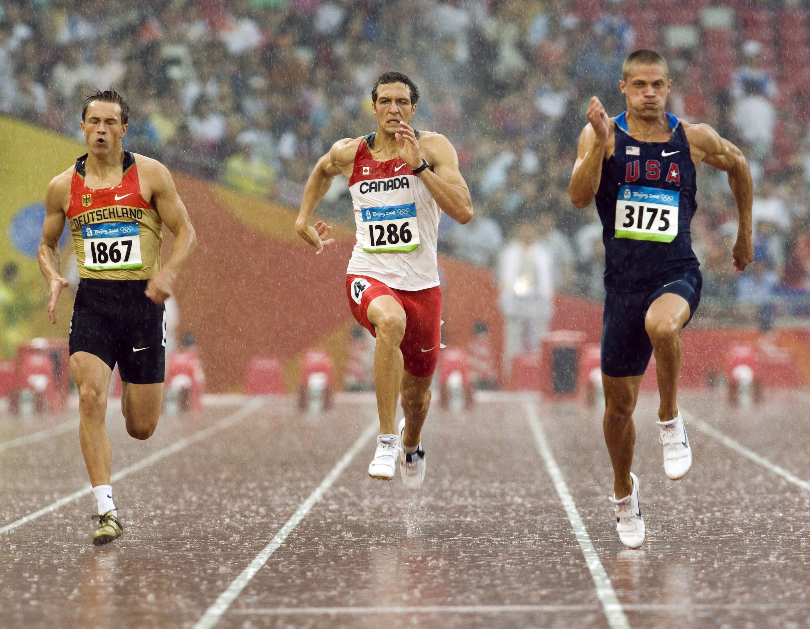 Massimo Bertocchi (centre)