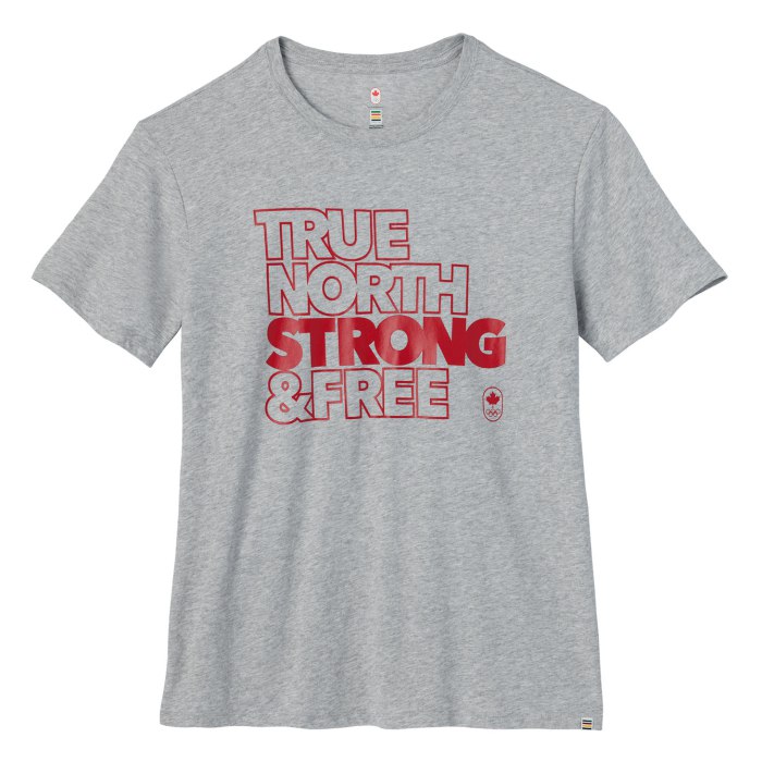 Village : Chandail à manches courtes TNS& F gris pour hommes 30 $