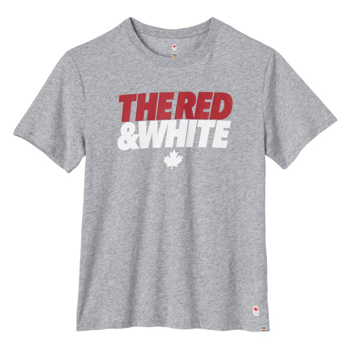 Village : Chandail à manches courtes TR & W gris pour hommes 30 $