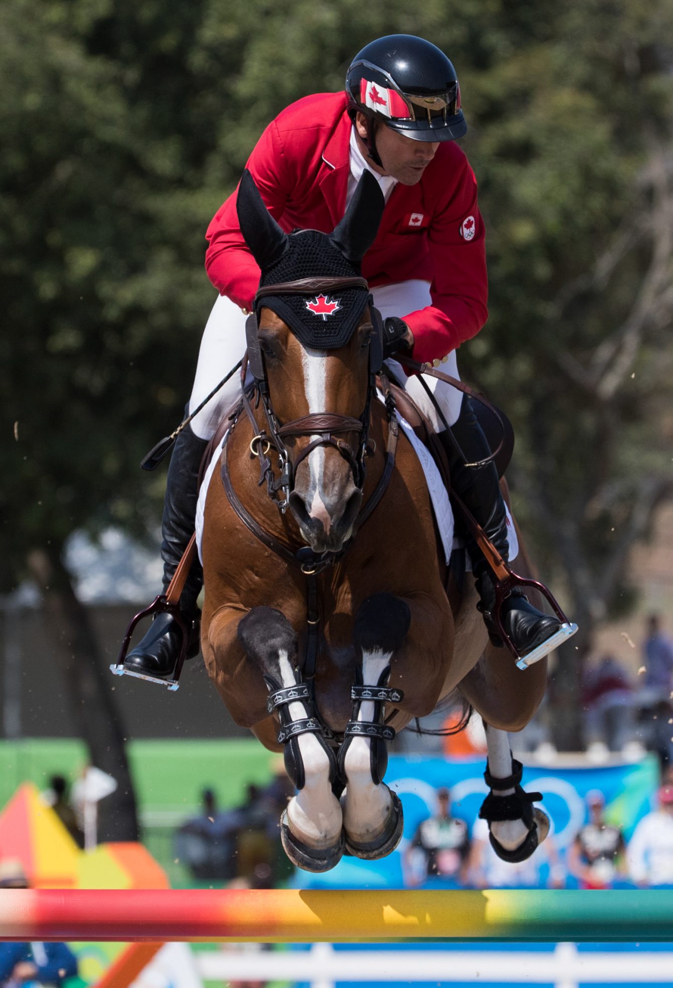 Equipe Canada - sports équestres - Eric Lamaze - Rio 2016