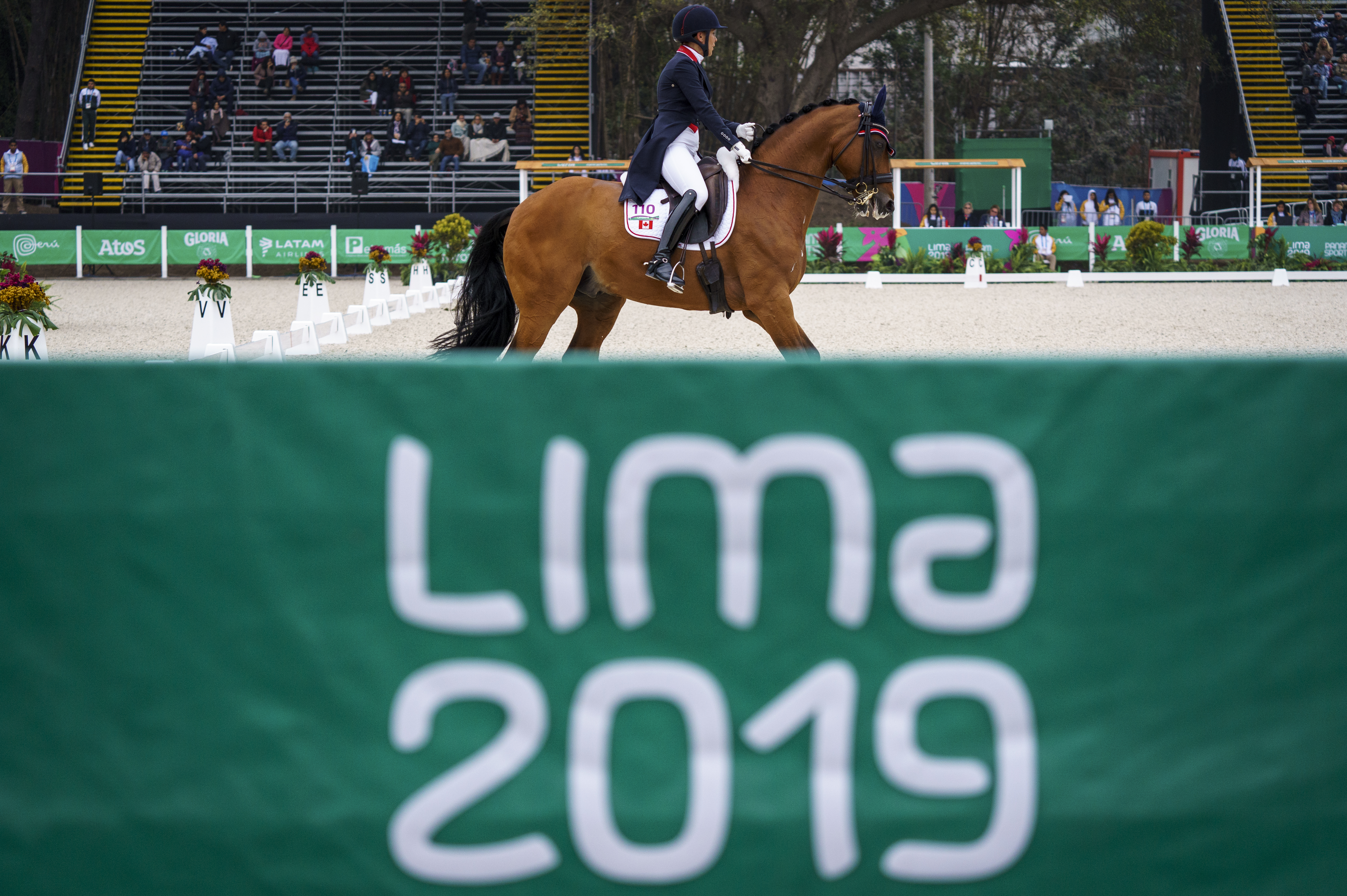 Équipe Canada Jill Irving à l'épreuve du Dressage à Lima 2019