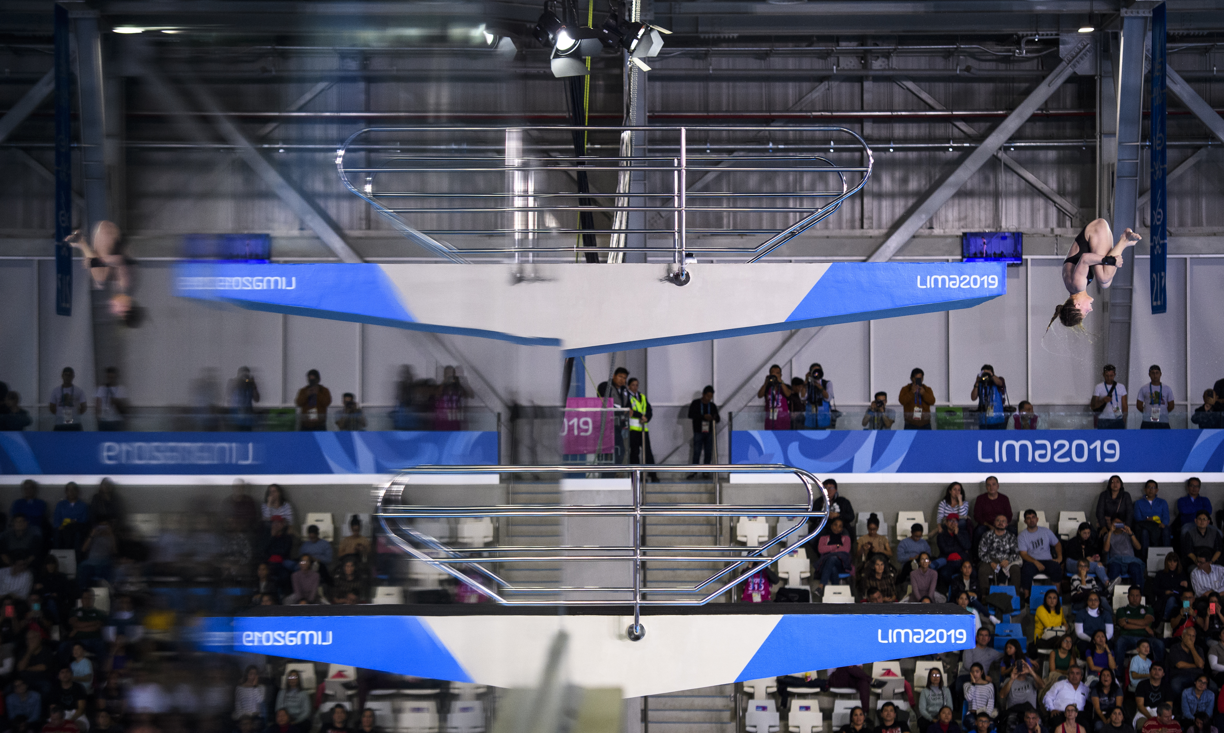 Caeli McKay saute de la plateforme de 10 m à Lima 2019