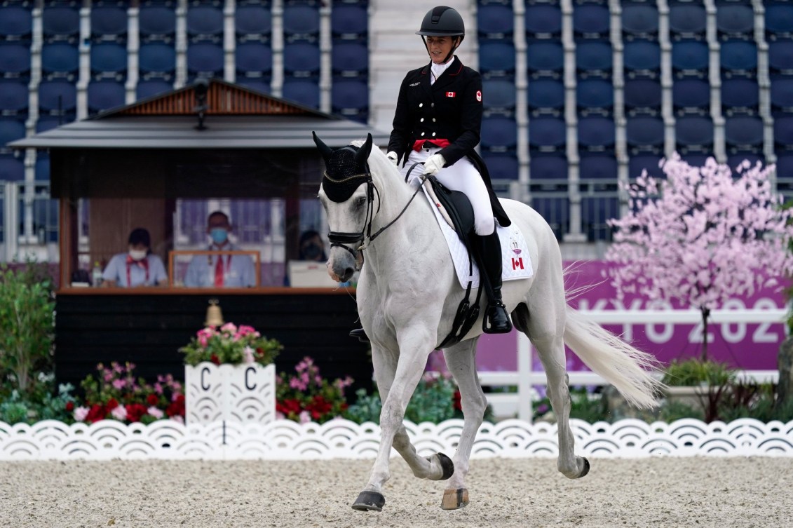 Une cavalière sur un cheval blanc.