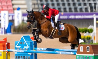 Une cavalière sur son cheval franchissent un obstacle.