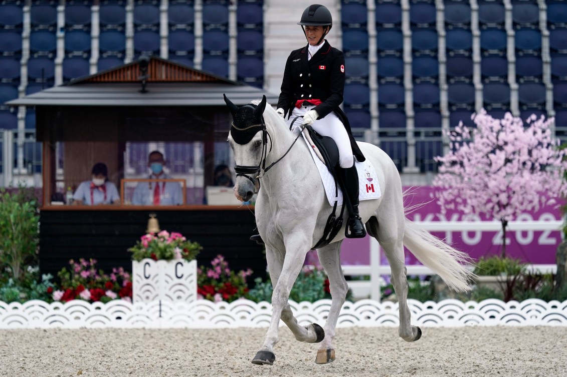 Une cavalière sur un cheval blanc aux oreilles noires.