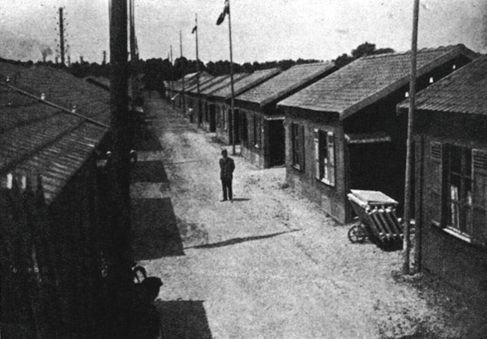 Des cabanes en bois. 