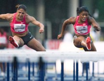 Priscilla Lopes-Schliep, Perdita Felicien Lopes-Schliep v. Felicien