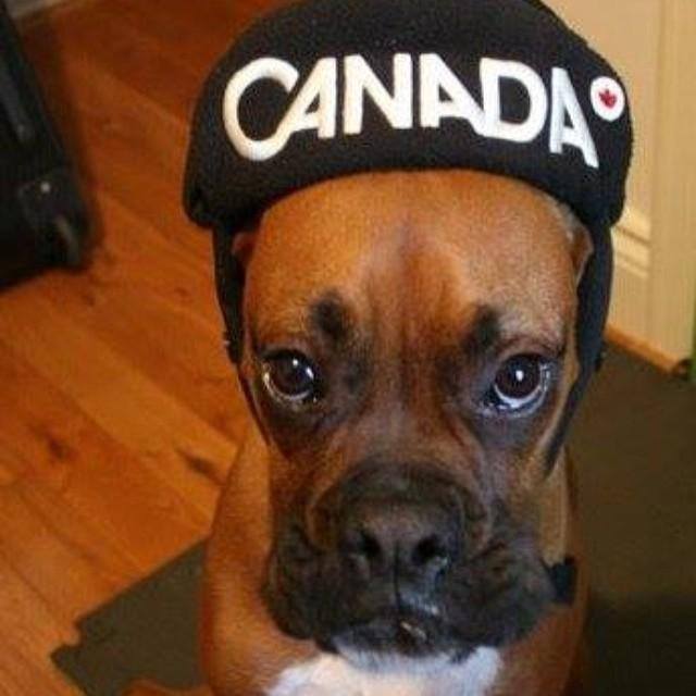 Photo via Instagram @icanbox