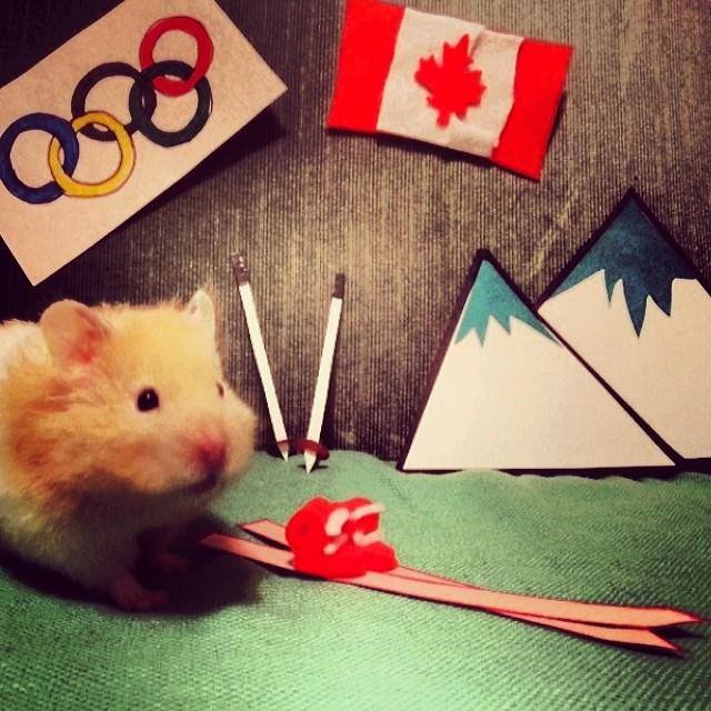 Photo via Instagram @teerbeer