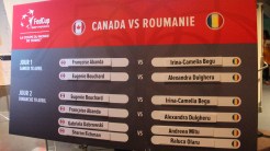 Canada v. Romania, the Fed Cup draw to remain in World Group for 2016 took place on April 17, 2015.