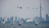 Canada's Lee Parkhill races his laser sail boat against other countries during the first race at the Pan American Games in Toronto on Sunday, July 12, 2015. Photo by THE CANADIAN PRESS/Nathan Denette