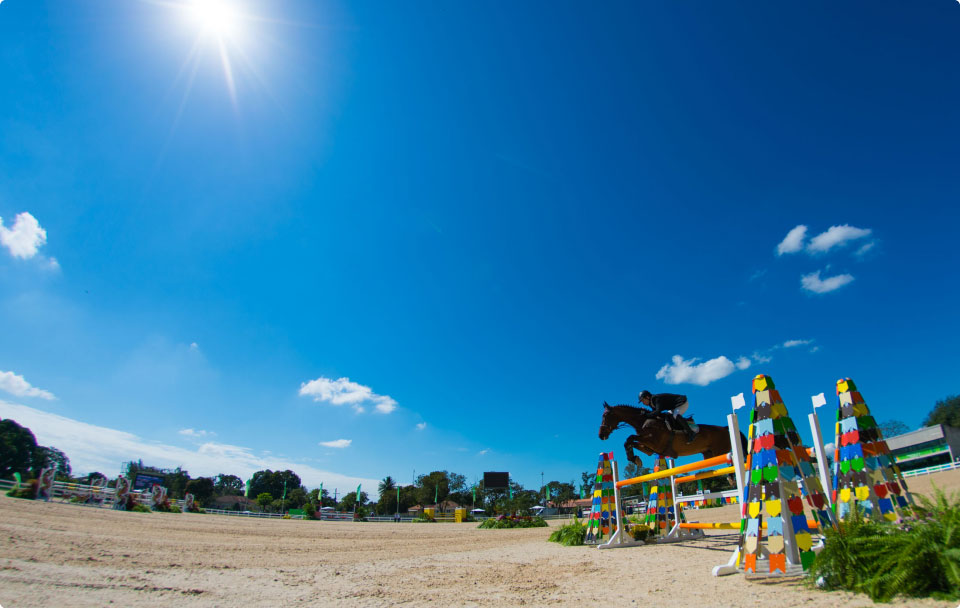 Rio 2016 equestrian test events took place in early August 2015 at Deodoro Olympic Park (Rio 2016/Alex Ferro). 