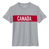 Mens Villagewear T-Shirt---Grey, $35