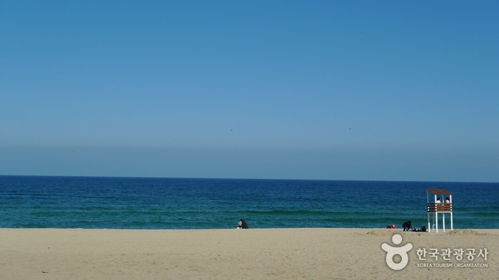 Team Canada - Korea 101 Tourism Gyeongpo Beach