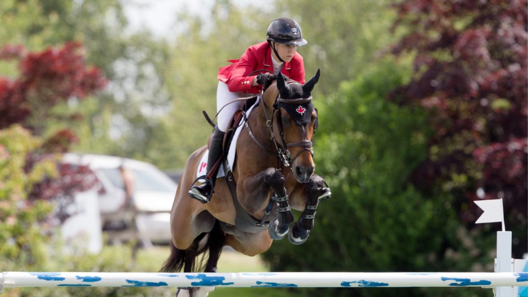 Equestrian athlete on horse jumping hurdle