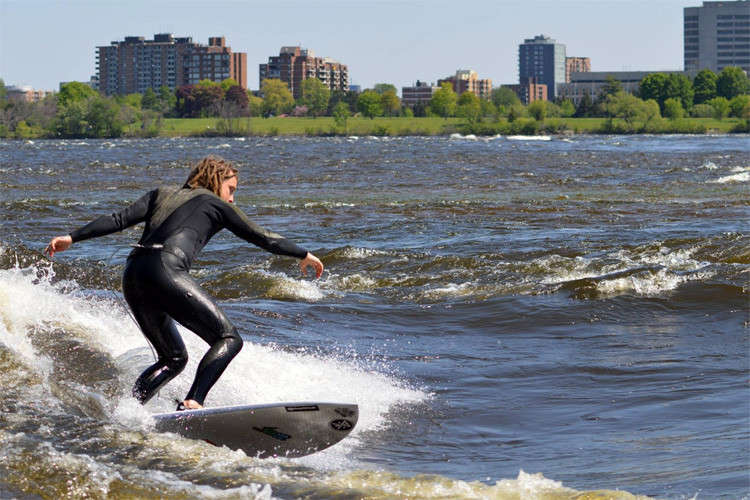 Surfer riding a wave with city landscape in the back