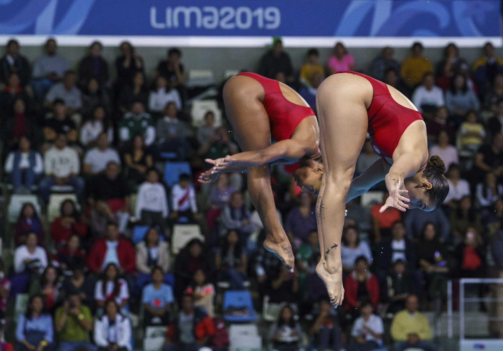 two divers in mid air
