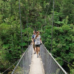 man and woman walking on a suspended bridge in the jungle.