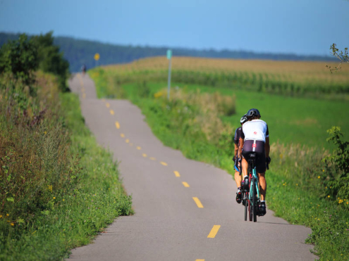 Cyclists going down path surrounded by grass