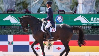 Dressage rider and horse in competition
