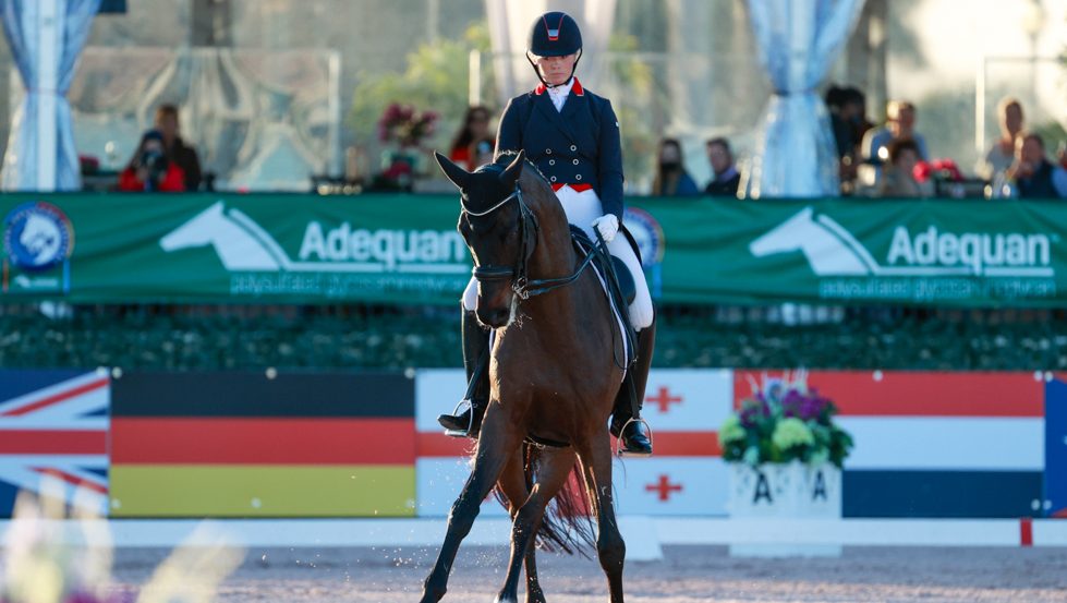 Dressage rider and horse in competition