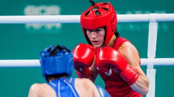 two boxers face off in the ring